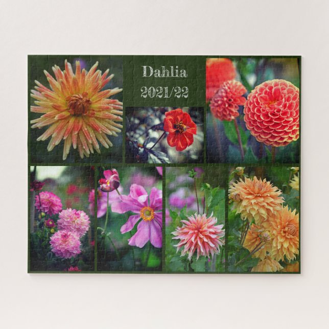 Dahlia Flowers Seven Photo Collage 520pc Jigsaw Pu Jigsaw Puzzle (Horizontal)