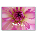 Dahlia Flowers Table Number