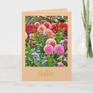 DAHLIA GARDEN/ PINK AND PEACH DAHLIAS/ "HELLO" CARD