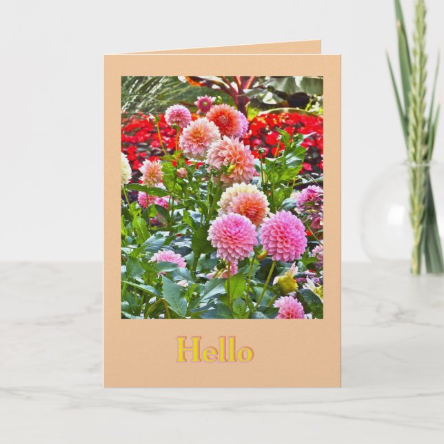 DAHLIA GARDEN/ PINK AND PEACH DAHLIAS/ "HELLO" CARD (Front)