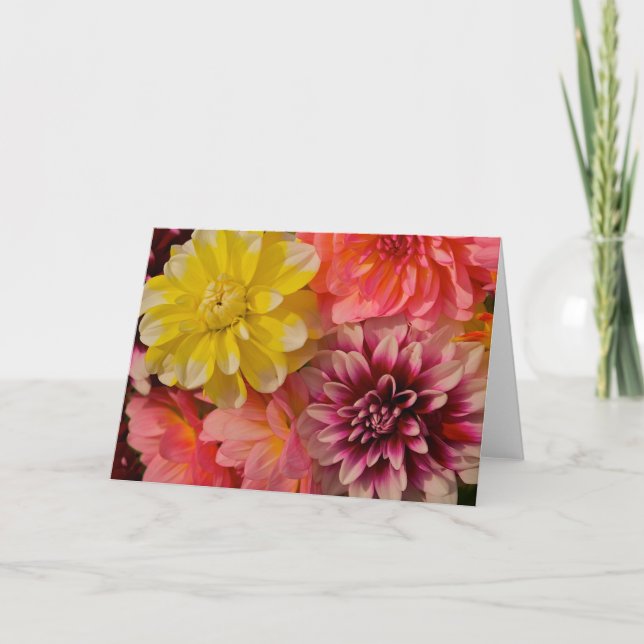 Dahlia Greeting Card (Front)