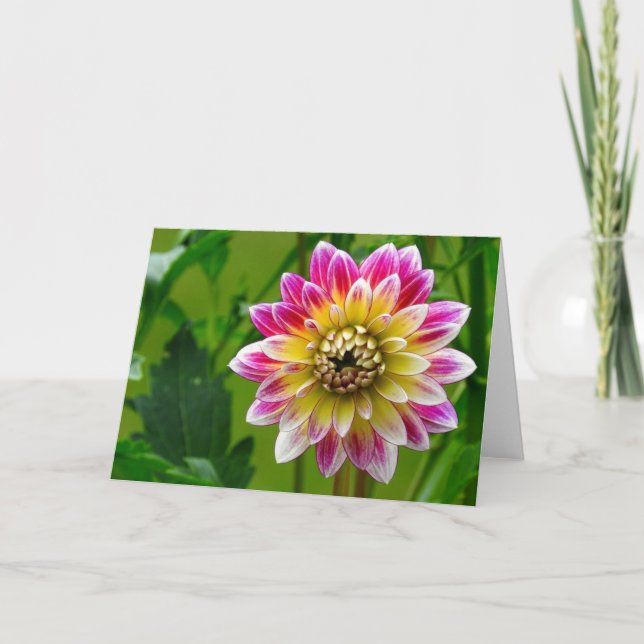 Dahlia Greeting Card, Blank Inside Card (Front)