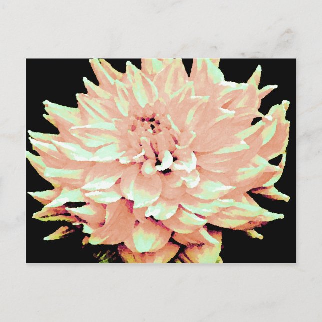 Dahlia - Honeymoon  - pale blush peach Postcard (Front)