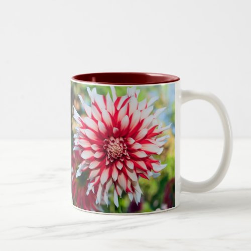 Dahlia in Peppermint Colors Two_Tone Coffee Mug