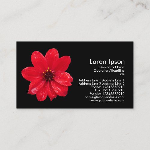 Dahlia in the Rain - Black Business Card Templates