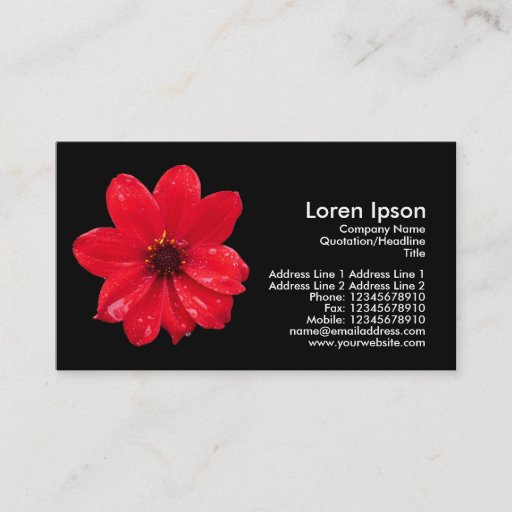 Customizable Dahlia in the Rain - Black Business Card Templates