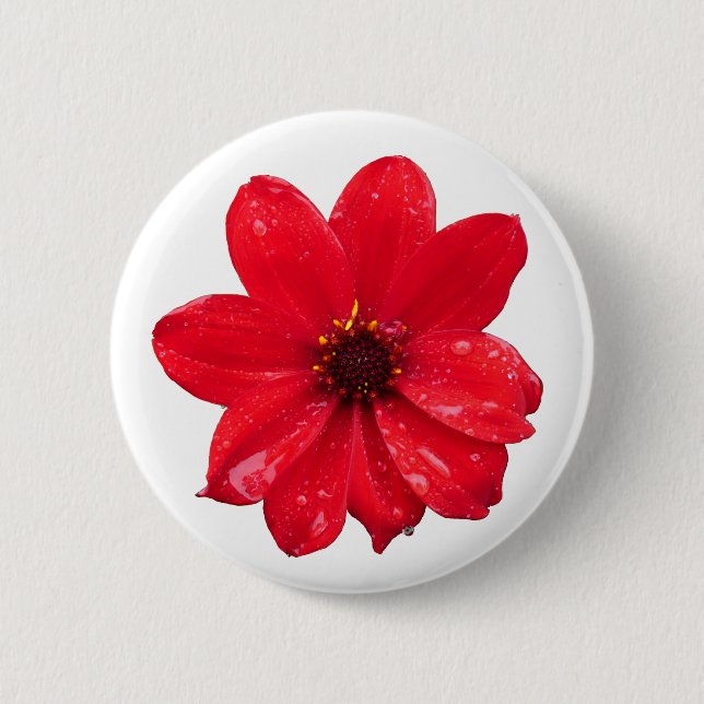 Dahlia in the Rain Button (Front)