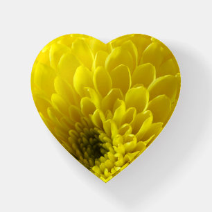 Dahlia in Yellow Heart-Shaped Paperweight