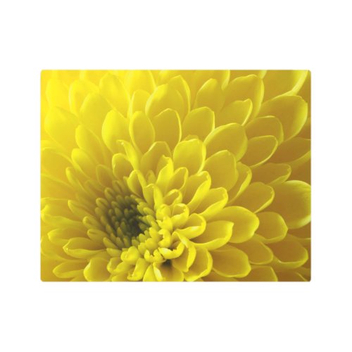 Dahlia in Yellow Metal Wall Art