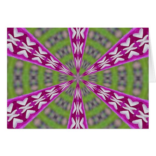 Dahlia Kaliediscope (Front Horizontal)