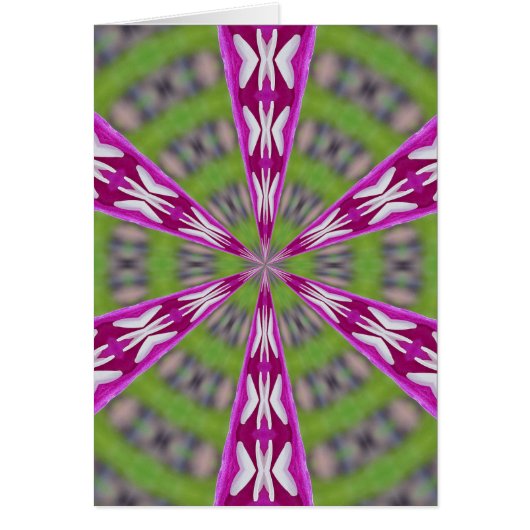 Dahlia Kaliediscope (Front)