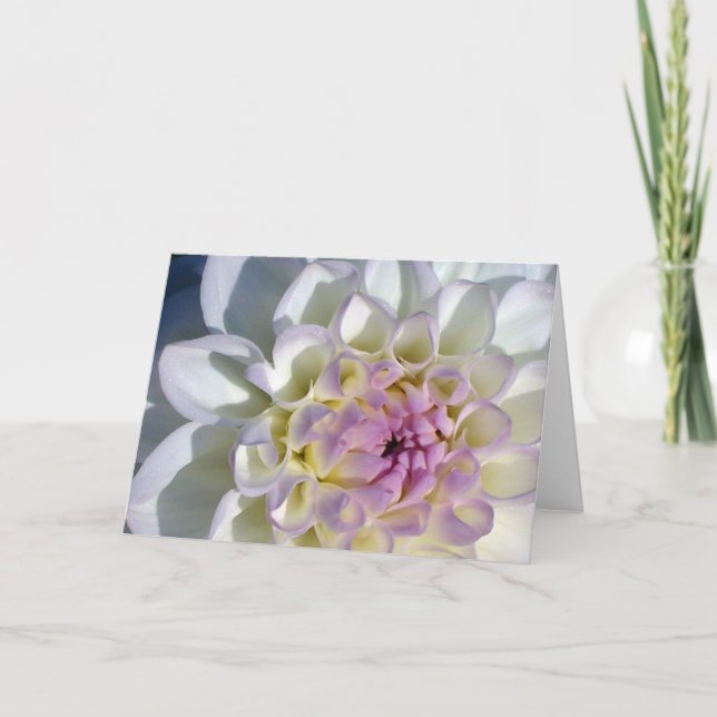 Dahlia  letterpress thank you card (Front)