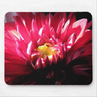 Dahlia Mouse Pad