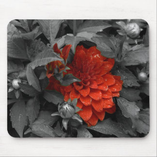 Dahlia-mousepad Mouse Pad