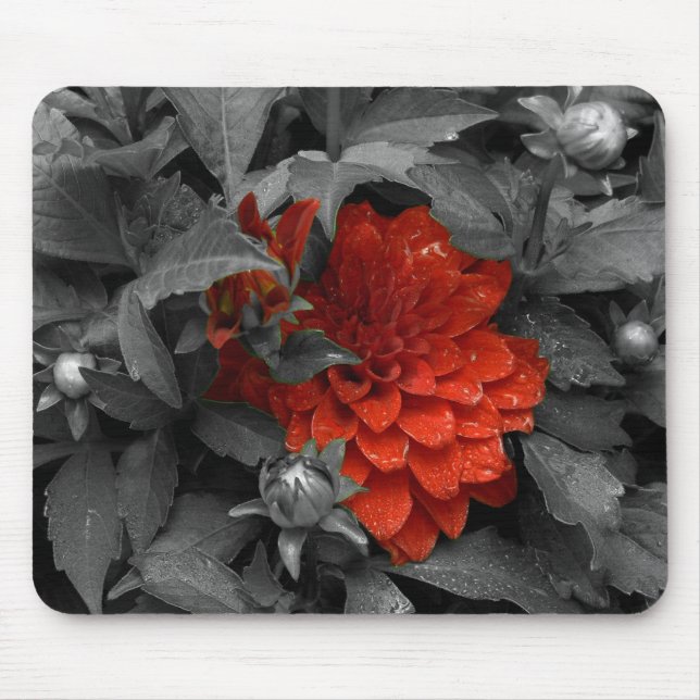 Dahlia-mousepad Mouse Pad (Front)