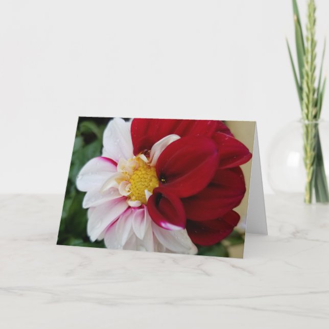 Dahlia Notecards (Front)