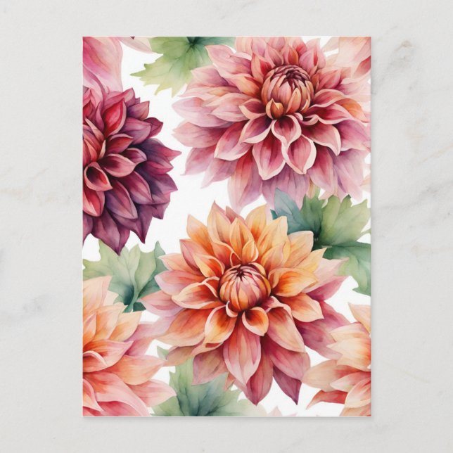 Dahlia Painting  Postcard (Front)