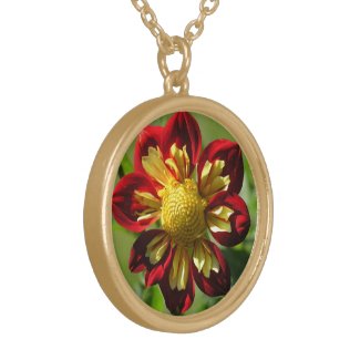 DAHLIA/ RED & YELLOW 