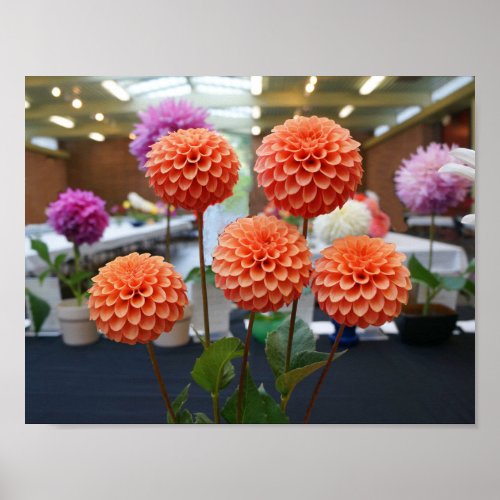 Dahlia Rose Toscano 1 Poster