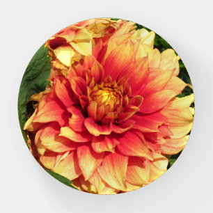 Dahlia Round Paperweight
