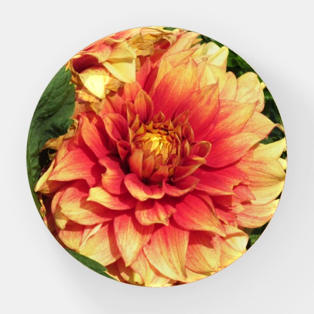 Dahlia Round Paperweight (Front)