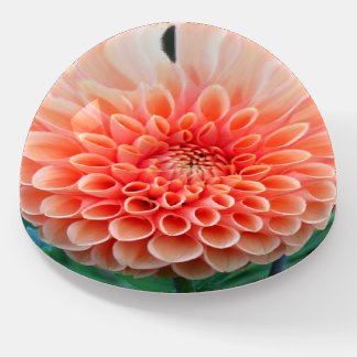 Dahlia Round Paperweight
