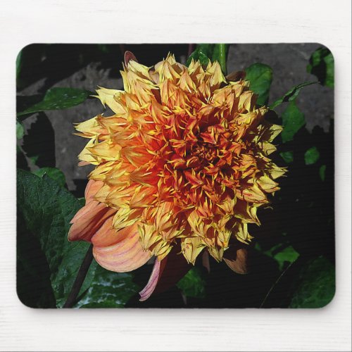 Dahlia Sandia Brocade 1 Mouse Pad