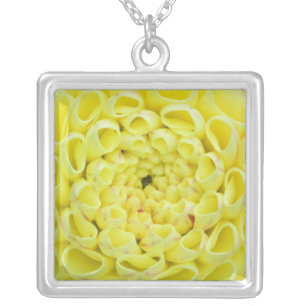 Dahlia Silver Plated Necklace