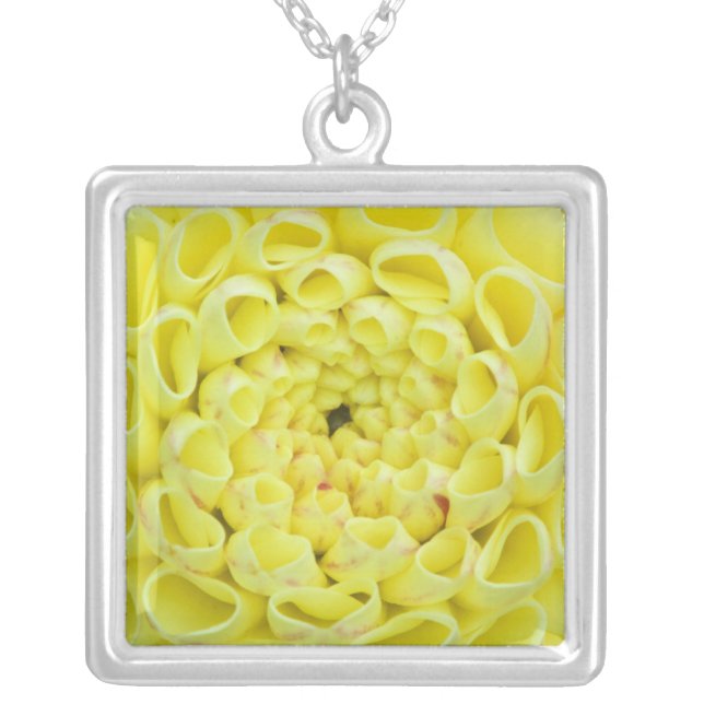 Dahlia Silver Plated Necklace (Front)