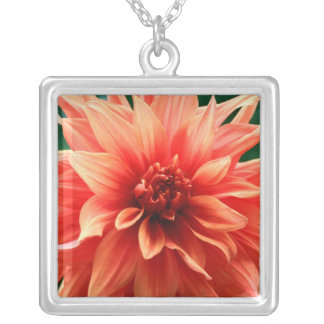 Dahlia Silver Plated Necklace