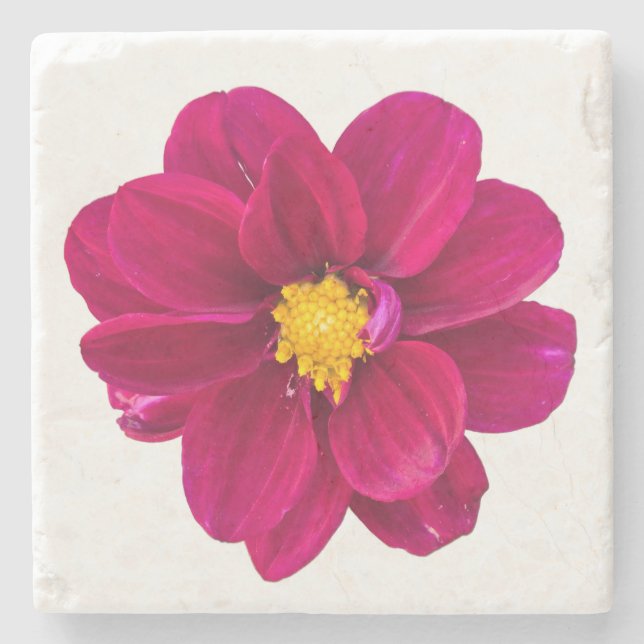 Dahlia Stone Coaster (Front)