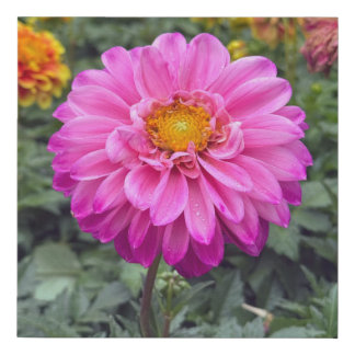 Dahlia  Summer 2025 Faux Canvas Print