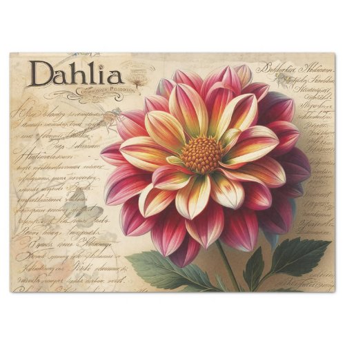 Dahlia Tissue Paper