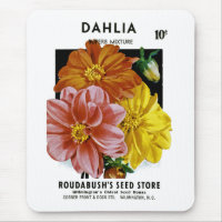 Dahlia Vintage Seed Packet