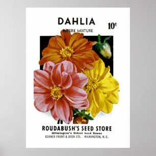 Dahlia Vintage Seed Packet Poster