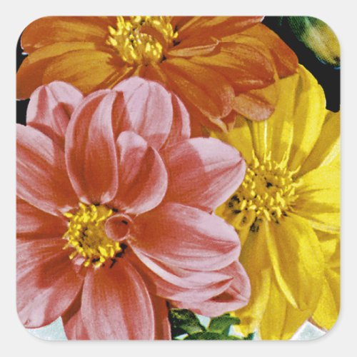 Dahlia Vintage Seed Packet Square Sticker