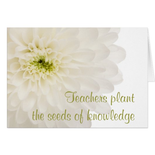 Dahlia White Flower Teacher Cards (Front Horizontal)
