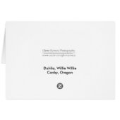 Dahlia, Willie Willie (Back Horizontal)