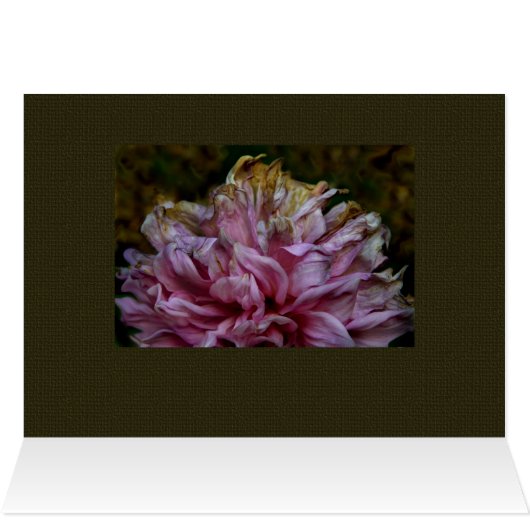 Dahliapast (Inside Horizontal (Top))