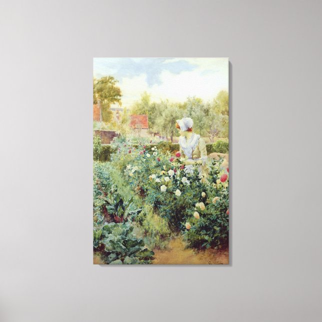 Dahlias, 1896 canvas print (Front)