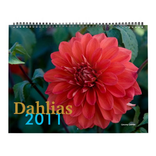 Dahlias Calendar