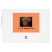 Dahlias Cards (Back Horizontal)