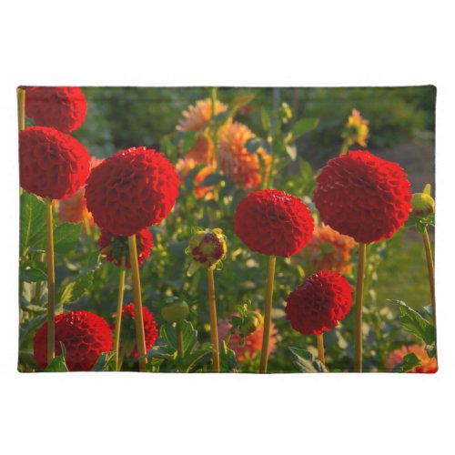 Dahlias dahlia farm Canby Oregon USA 3 Cloth Placemat