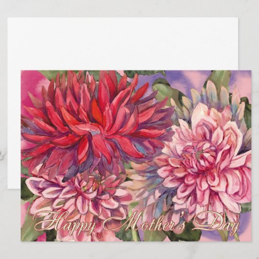 dahlias flowers (Front/Back)