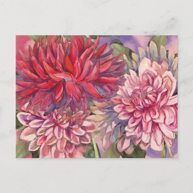 dahlias flowers watercolor postcard (Front)