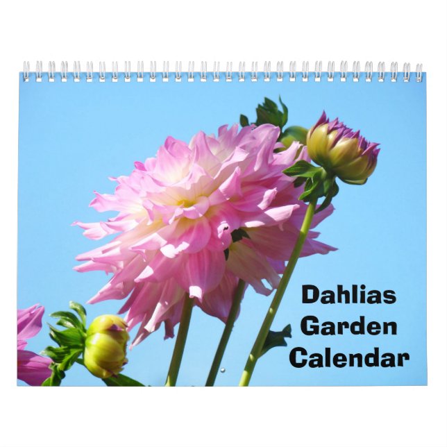Dahlias Garden Calendar Photography Flowers (Cover)