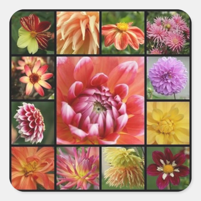 dahlias square sticker (Front)