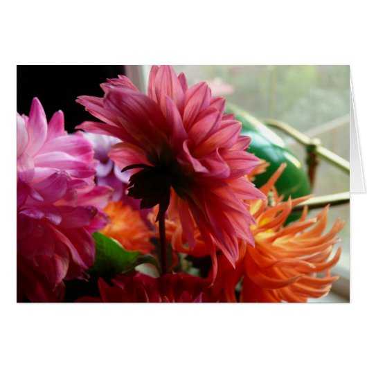 Dahlias (with Lamp) Cards (Front Horizontal)