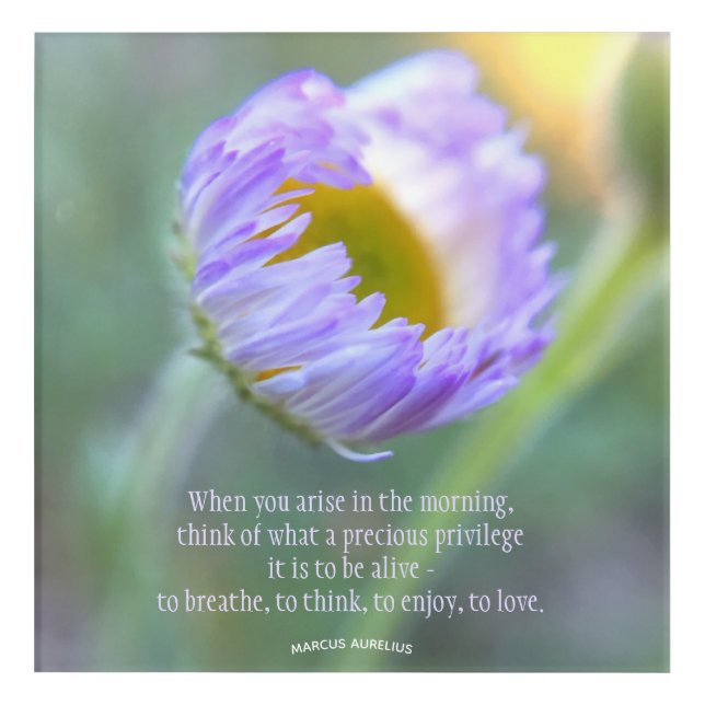 Daily Gratitude Inspirational Quote Floral Acrylic Print (Front)