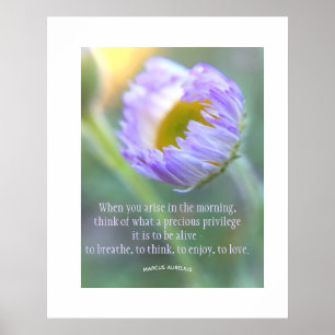 Daily Gratitude Inspirational Quote Floral Poster